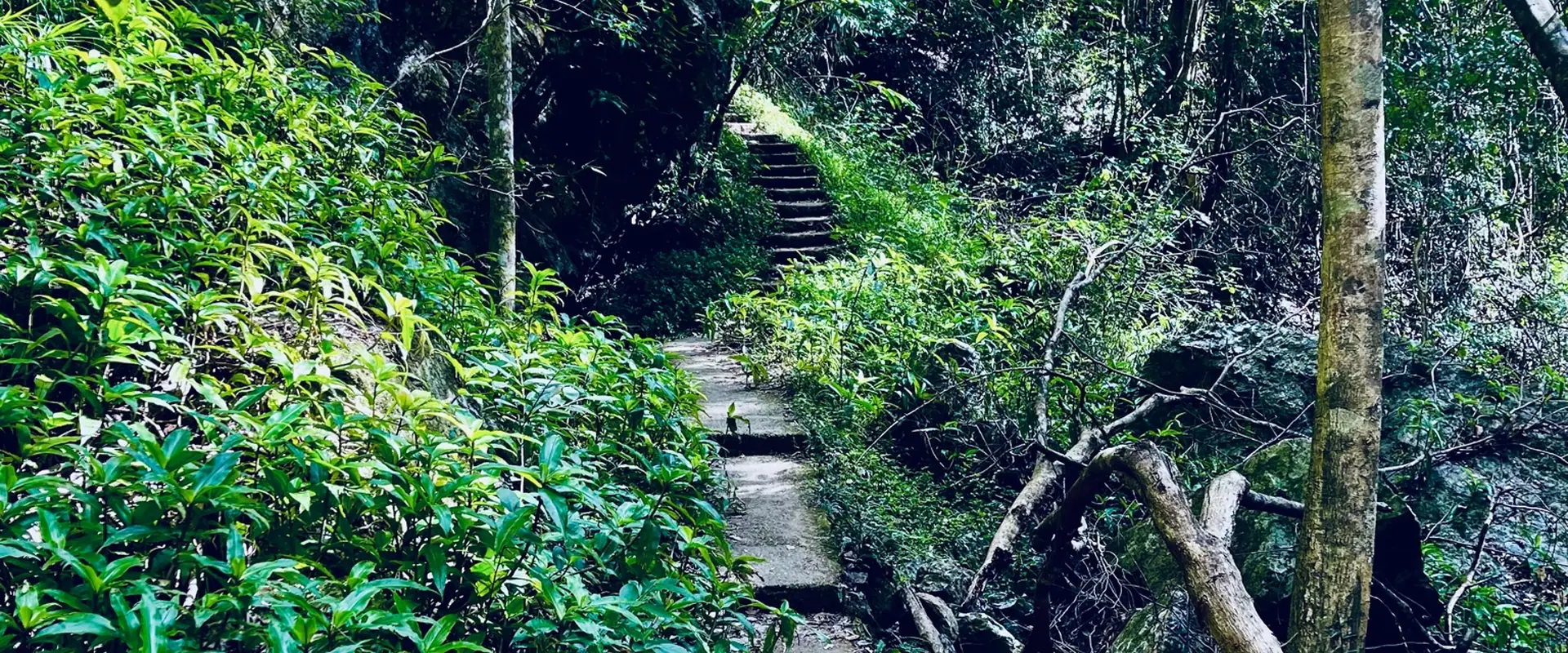 Rob's Path