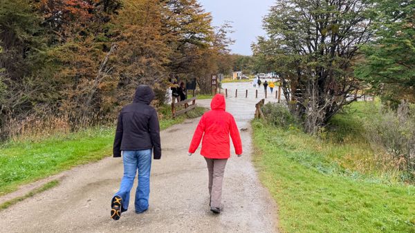 two people walking down a path away from viewer
